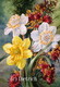Ode au Printemps / A Poem for Spring - jonquille - narcissum